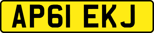 AP61EKJ