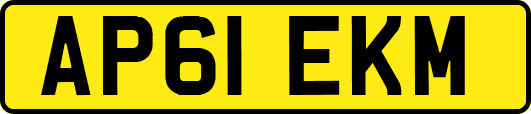 AP61EKM
