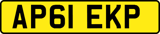 AP61EKP