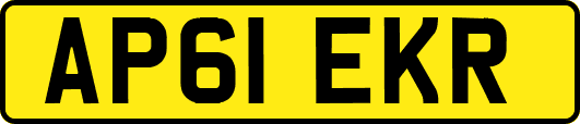 AP61EKR