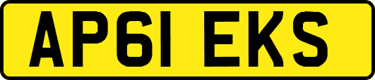 AP61EKS