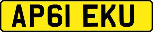 AP61EKU