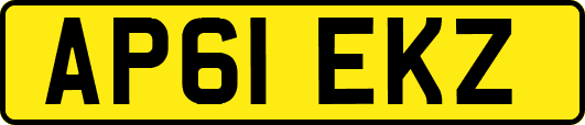 AP61EKZ
