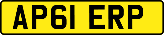 AP61ERP