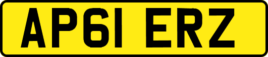 AP61ERZ