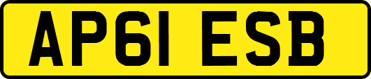 AP61ESB
