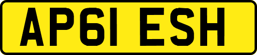 AP61ESH