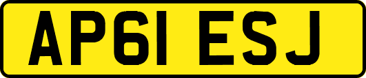AP61ESJ