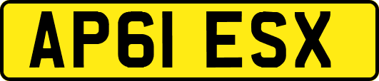 AP61ESX