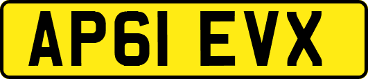 AP61EVX
