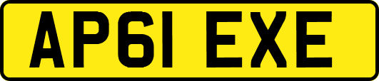 AP61EXE