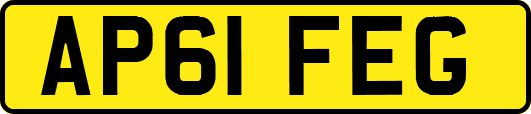 AP61FEG