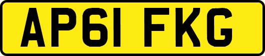 AP61FKG