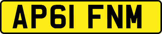 AP61FNM
