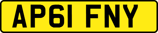 AP61FNY