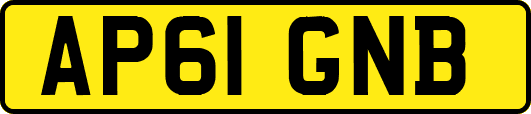AP61GNB