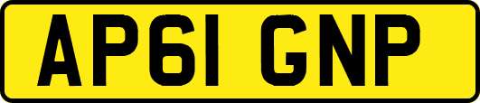 AP61GNP