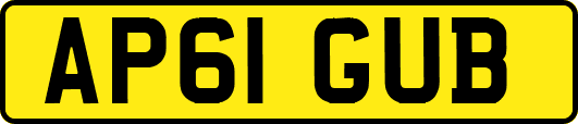AP61GUB