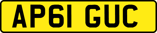 AP61GUC