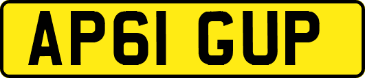 AP61GUP