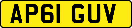 AP61GUV