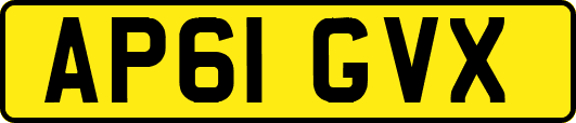 AP61GVX