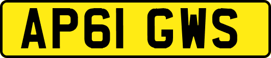 AP61GWS