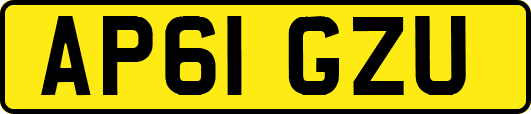AP61GZU