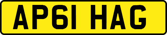 AP61HAG