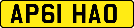 AP61HAO
