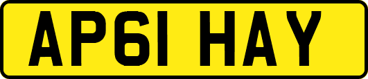AP61HAY