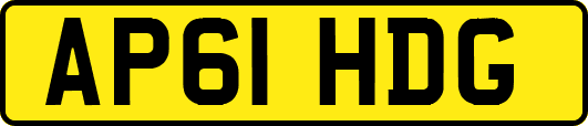 AP61HDG