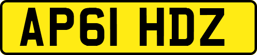 AP61HDZ