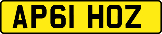 AP61HOZ