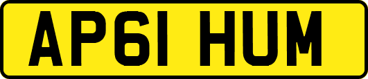 AP61HUM