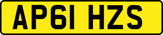 AP61HZS
