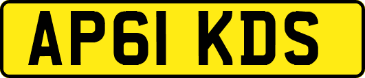 AP61KDS