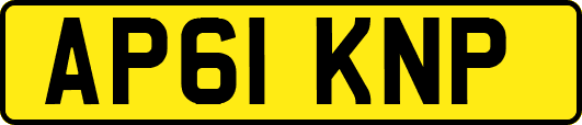 AP61KNP
