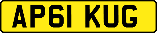 AP61KUG