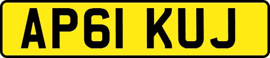 AP61KUJ