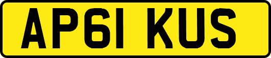 AP61KUS