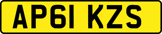 AP61KZS