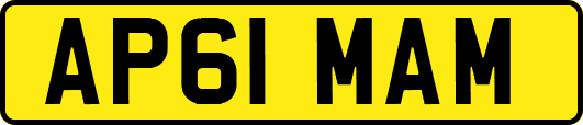 AP61MAM