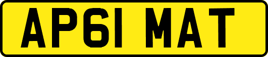 AP61MAT
