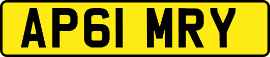 AP61MRY