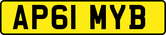 AP61MYB