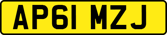 AP61MZJ