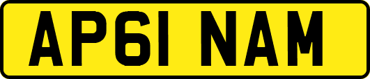 AP61NAM