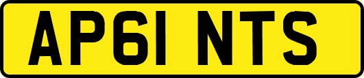 AP61NTS