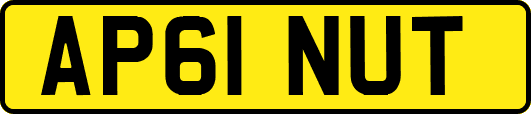AP61NUT
